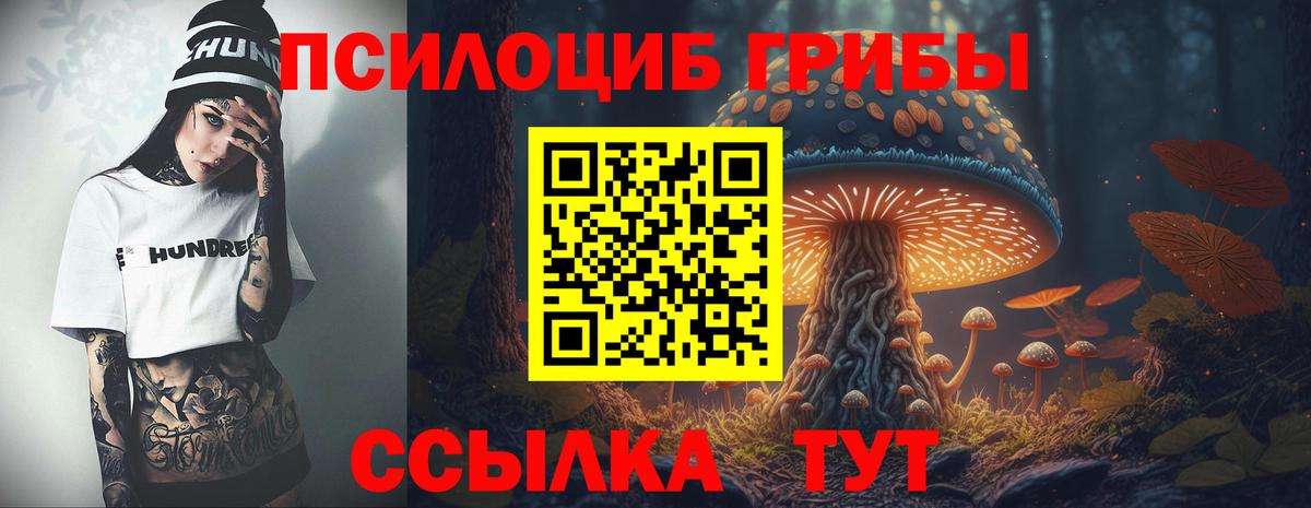 что такое наркотик  Галлюциногенные грибы Cubensis  Вход с VPN  Серов 